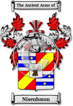 Nisenbaum Family Crest Download (JPG) Legacy Series - 600 DPI