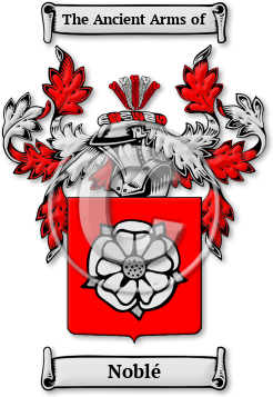 Noblé Family Crest Download (jpg) Legacy Series - 150 DPI