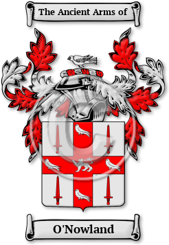 O'Nowland Family Crest Download (jpg) Legacy Series - 150 DPI