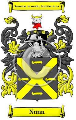 Nunn Family Crest Download (JPG) Heritage Series - 600 DPI