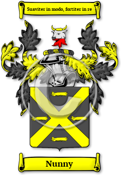 Nunny Family Crest Download (jpg) Legacy Series - 150 DPI