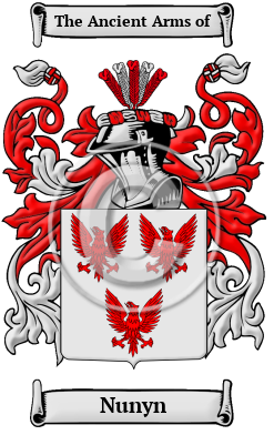 Nunyn Family Crest/Coat of Arms