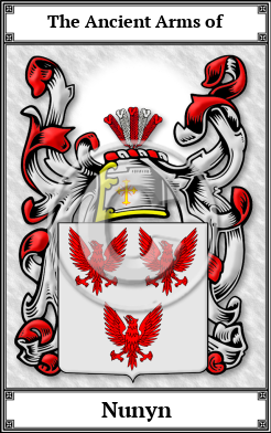 Nunyn Family Crest Download (JPG)  Book Plated - 150 DPI