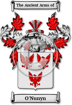 O'Nunyn Family Crest Download (jpg) Legacy Series - 150 DPI