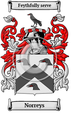 Norreys Name Meaning, Family History, Family Crest & Coats of Arms