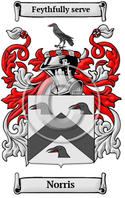 Norris Family Crest Download (JPG) Heritage Series - 600 DPI