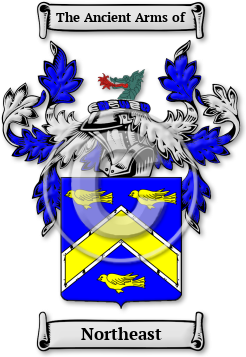 Northeast Family Crest Download (jpg) Legacy Series - 150 DPI