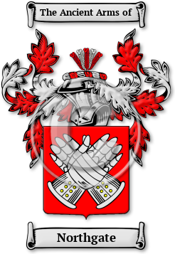 Northgate Family Crest Download (jpg) Legacy Series - 150 DPI