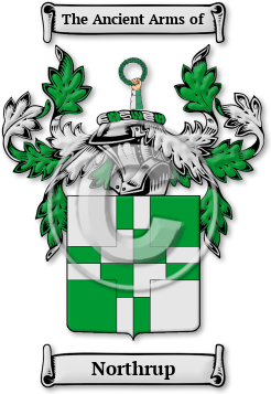 Northrup Family Crest Download (JPG) Legacy Series - 600 DPI