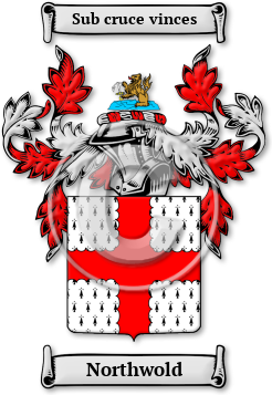 Northwold Family Crest Download (jpg) Legacy Series - 150 DPI