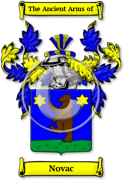 Novac Family Crest Download (jpg) Legacy Series - 150 DPI