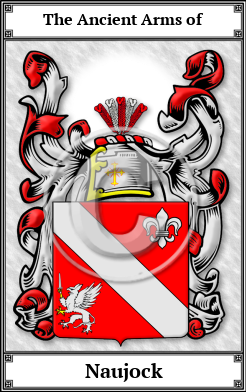 Naujock Family Crest Download (JPG) Book Plated - 600 DPI