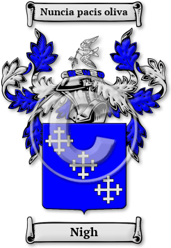 Nigh Family Crest Download (jpg) Legacy Series - 150 DPI