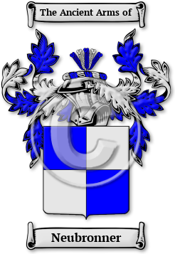 Neubronner Family Crest Download (JPG) Legacy Series - 600 DPI