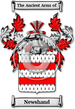 Newshand Family Crest Download (JPG) Legacy Series - 600 DPI