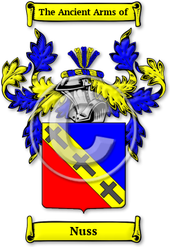 Nuss Family Crest Download (JPG) Legacy Series - 600 DPI