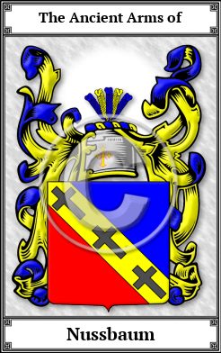 Nussbaum Family Crest Download (JPG)  Book Plated - 150 DPI