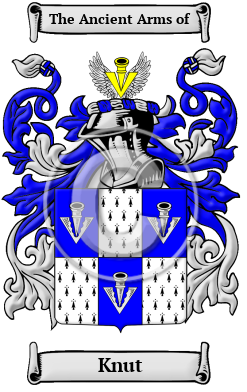 Knut Family Crest/Coat of Arms