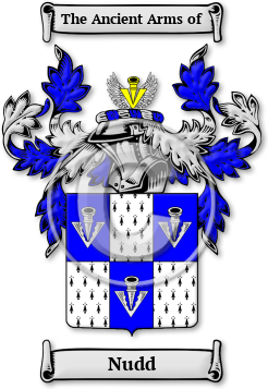 Nudd Family Crest Download (jpg) Legacy Series - 150 DPI