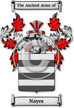Nayes Family Crest Download (JPG) Legacy Series - 600 DPI