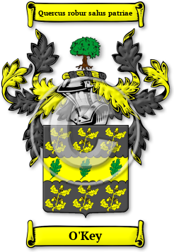 O'Key Family Crest Download (jpg) Legacy Series - 150 DPI