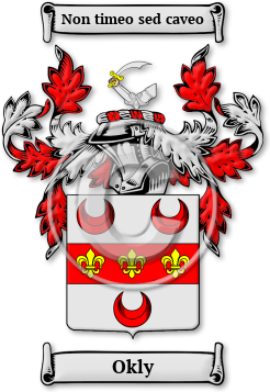 Okly Family Crest Download (jpg) Legacy Series - 150 DPI