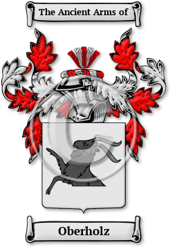 Oberholz Family Crest Download (jpg) Legacy Series - 150 DPI