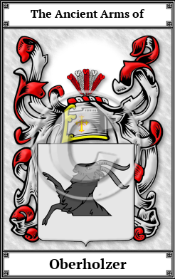 Oberholzer Family Crest Download (JPG)  Book Plated - 150 DPI