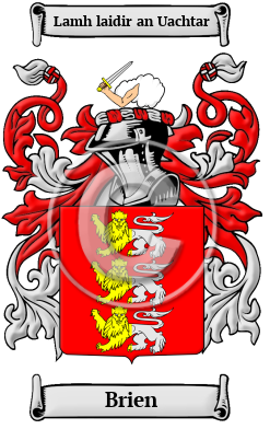 Brien Family Crest Download (JPG) Heritage Series - 600 DPI