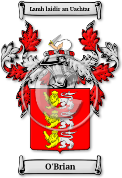 O'Brian Family Crest Download (jpg) Legacy Series - 150 DPI