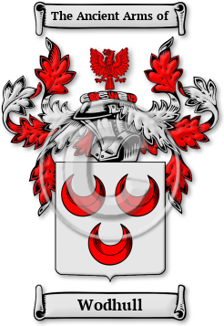 Wodhull Family Crest Download (jpg) Legacy Series - 150 DPI