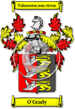 O'Grady Family Crest Download (jpg) Legacy Series - 150 DPI