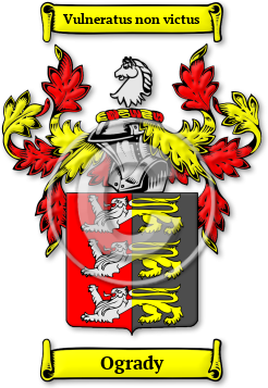 Ogrady Family Crest Download (jpg) Legacy Series - 150 DPI