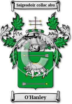 O'Hanley Family Crest Download (jpg) Legacy Series - 150 DPI