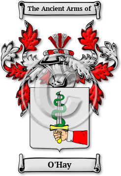 O'Hay Family Crest Download (jpg) Legacy Series - 150 DPI