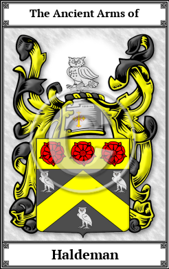 Haldeman Family Crest Download (JPG) Book Plated - 600 DPI