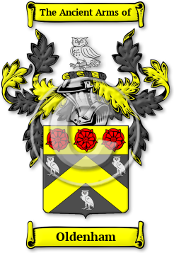 Oldenham Family Crest Download (jpg) Legacy Series - 150 DPI