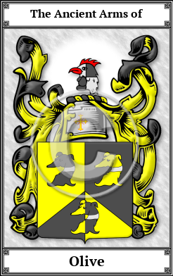 Olive Family Crest Download (JPG)  Book Plated - 150 DPI