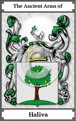 Haliva Family Crest Download (JPG)  Book Plated - 150 DPI