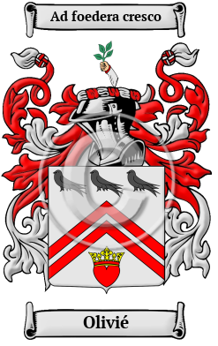 Olivié Family Crest Download (JPG) Heritage Series - 300 DPI
