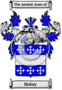 Holny Family Crest Download (jpg) Legacy Series - 150 DPI