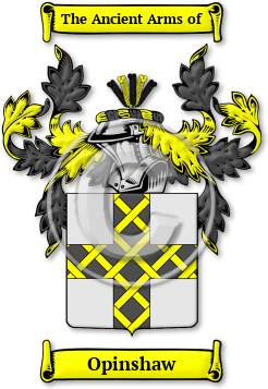Opinshaw Family Crest Download (jpg) Legacy Series - 150 DPI
