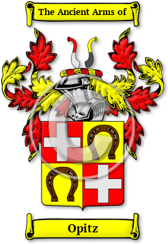 Opitz Family Crest Download (jpg) Legacy Series - 150 DPI
