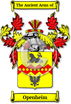 Openheim Family Crest Download (jpg) Legacy Series - 150 DPI