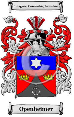 Openheimer Family Crest Download (JPG) Heritage Series - 600 DPI