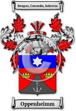 Oppenheimm Family Crest Download (jpg) Legacy Series - 150 DPI