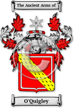 O'Quigley Family Crest Download (jpg) Legacy Series - 150 DPI