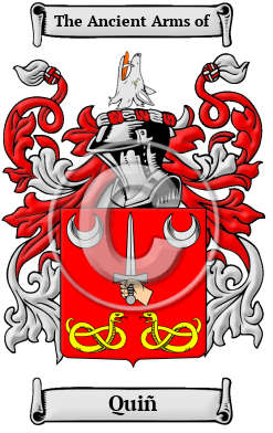 Quiñ Family Crest Download (JPG) Heritage Series - 300 DPI