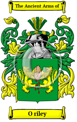 O riley Family Crest Download (JPG) Heritage Series - 300 DPI