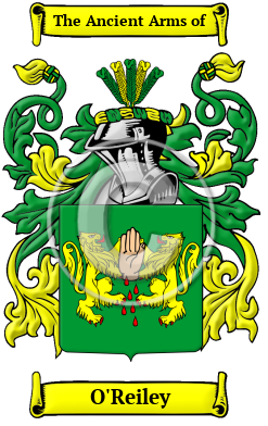 O'Reiley Family Crest/Coat of Arms